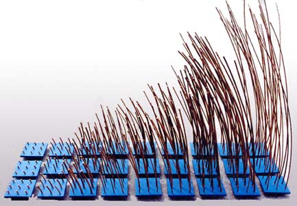 Carr�s d'Osier - JY. Chevilly