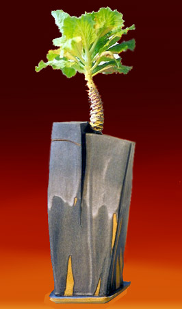 GrowthStone stoneware - Ole Krongaard