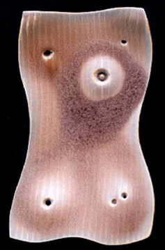 sushi dish-Ole Krongaard